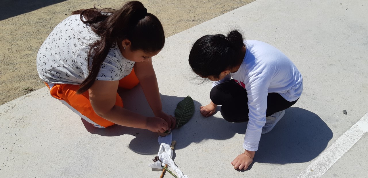 thumbnail_20190506_153249