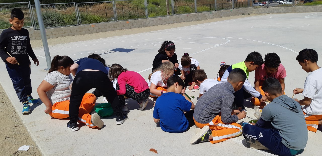 thumbnail_20190506_153426