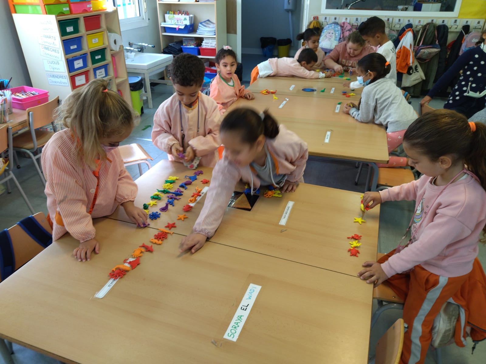 WhatsApp Image 2021-11-23 at 08.06.26 (3)