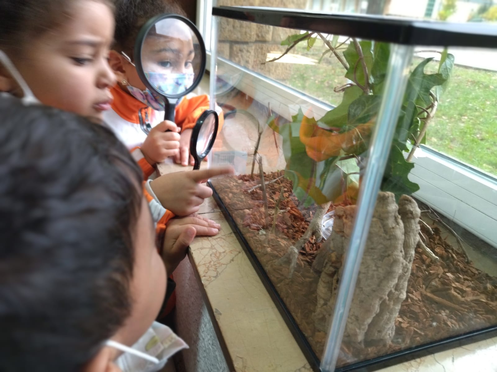 WhatsApp Image 2021-11-23 at 20.39.40