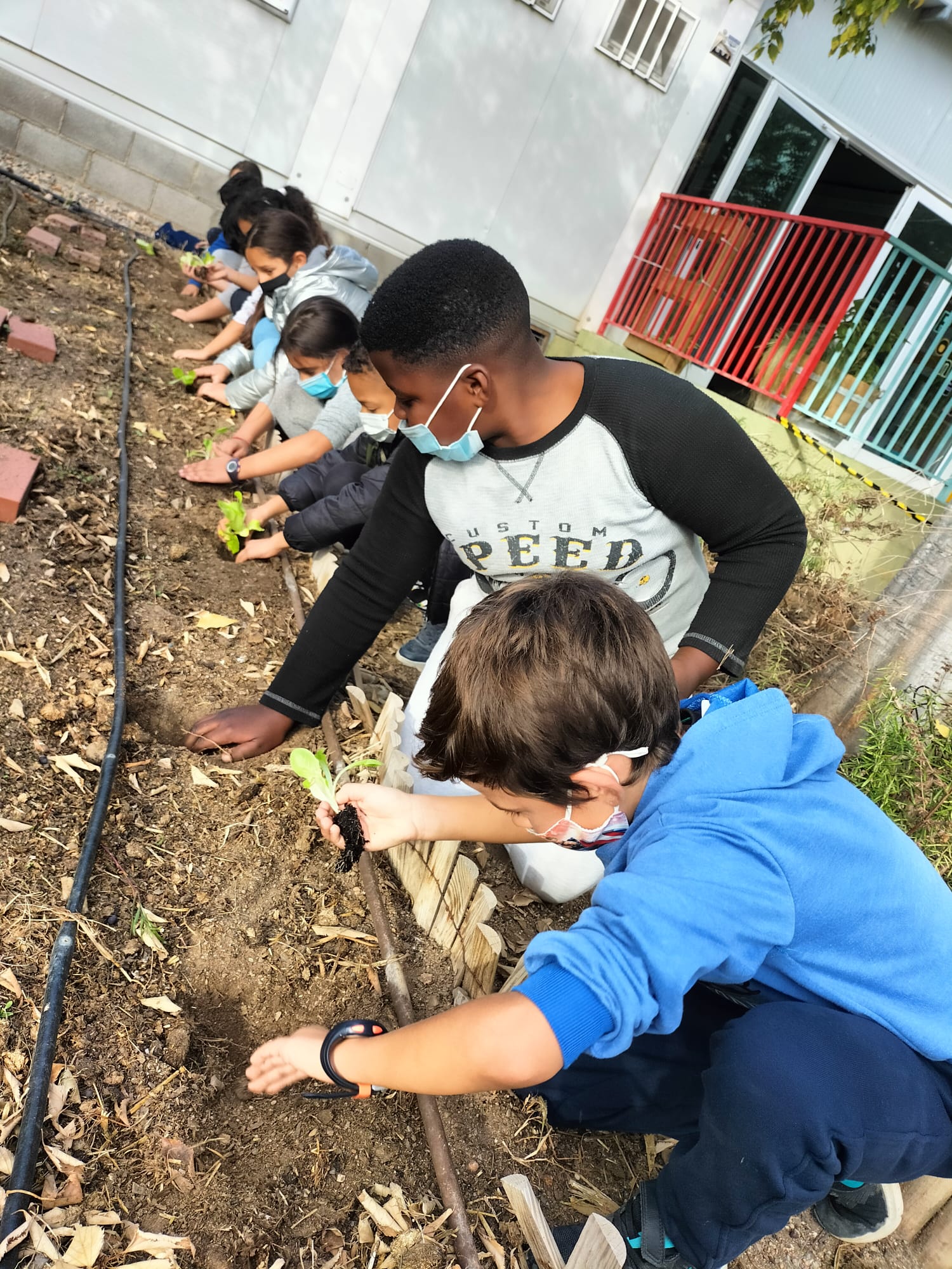 WhatsApp Image 2021-11-25 at 20.04.38