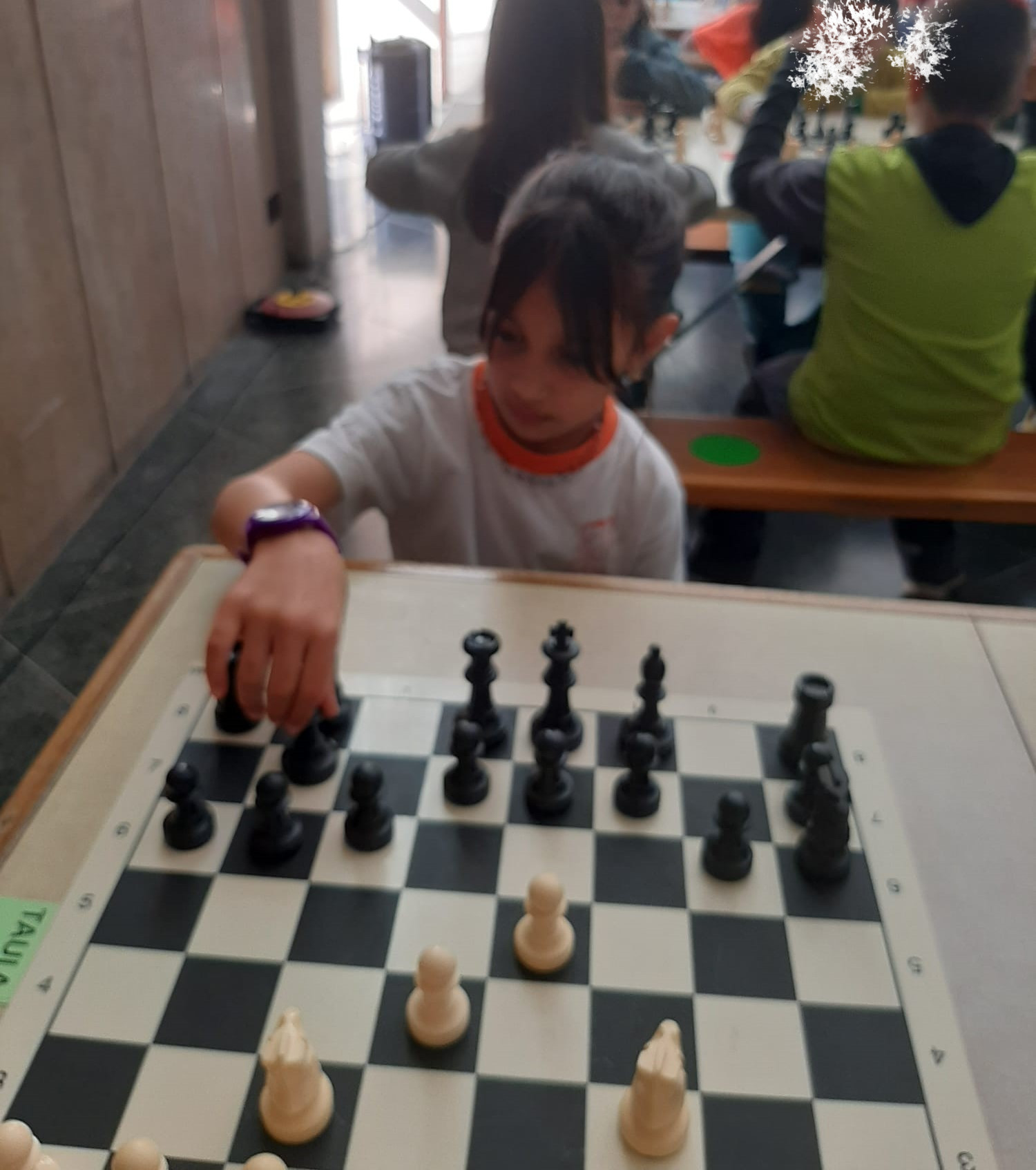 Trobada d'escacs (15)