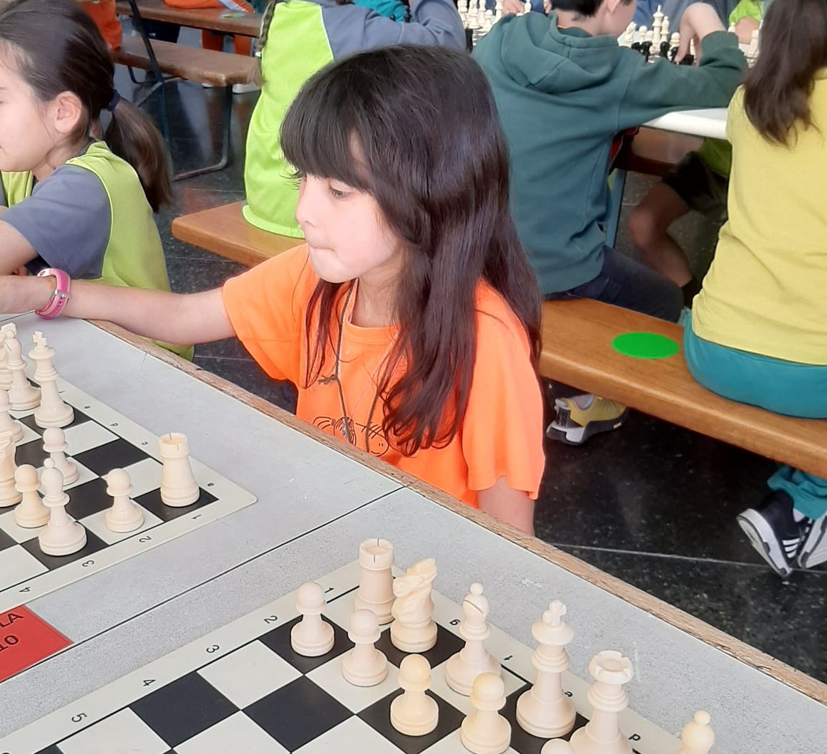 Trobada d'escacs (17)