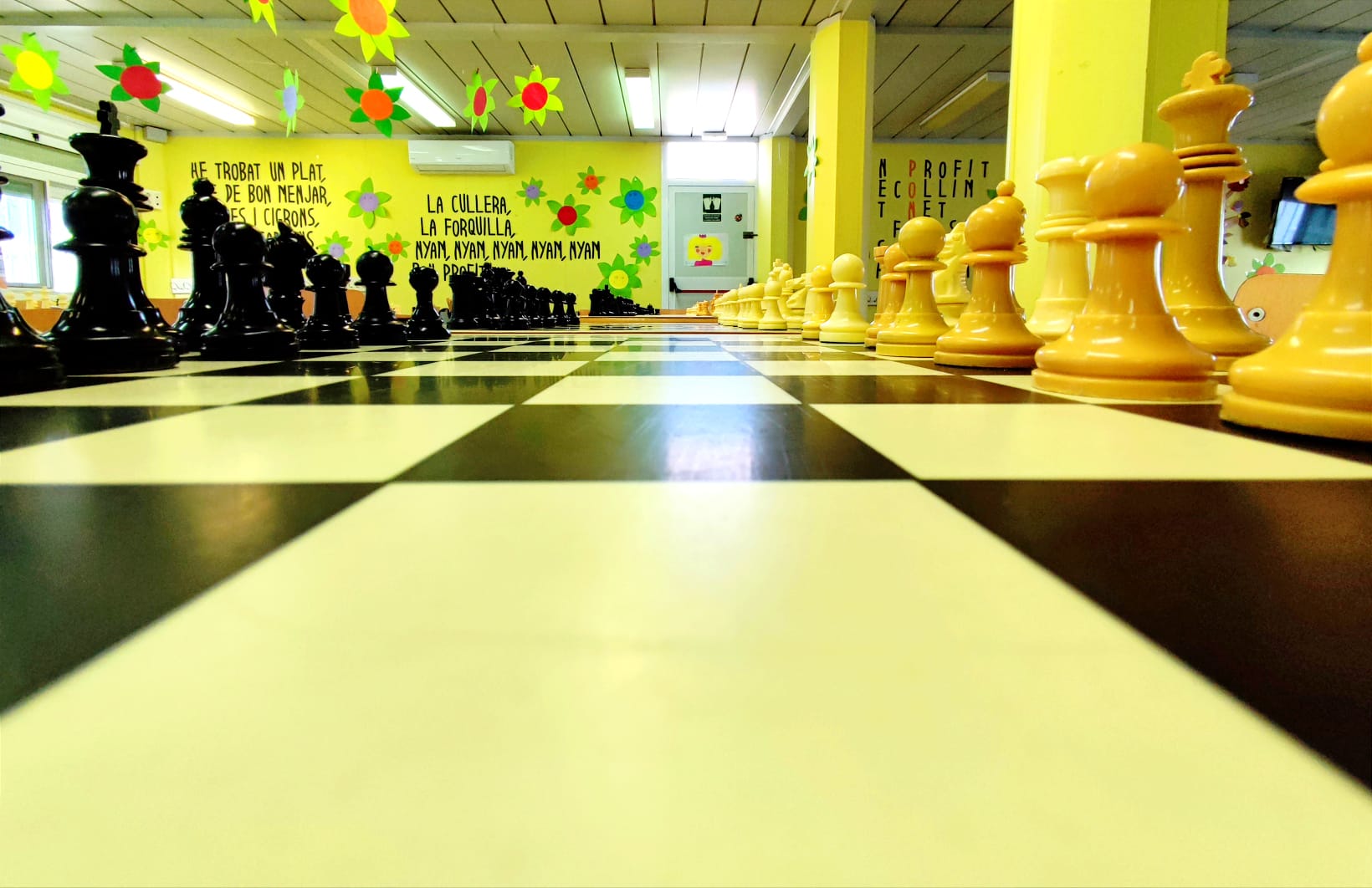 El dia dels Escacs (2)