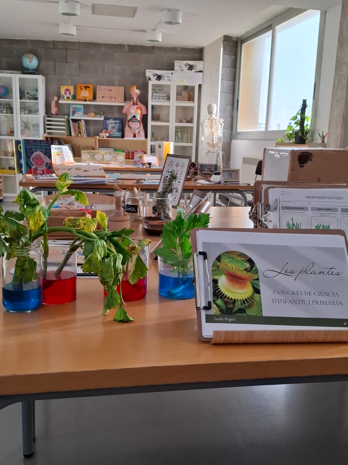 86c238d1-6f1e-4958-8620-e1b40a18a1a1