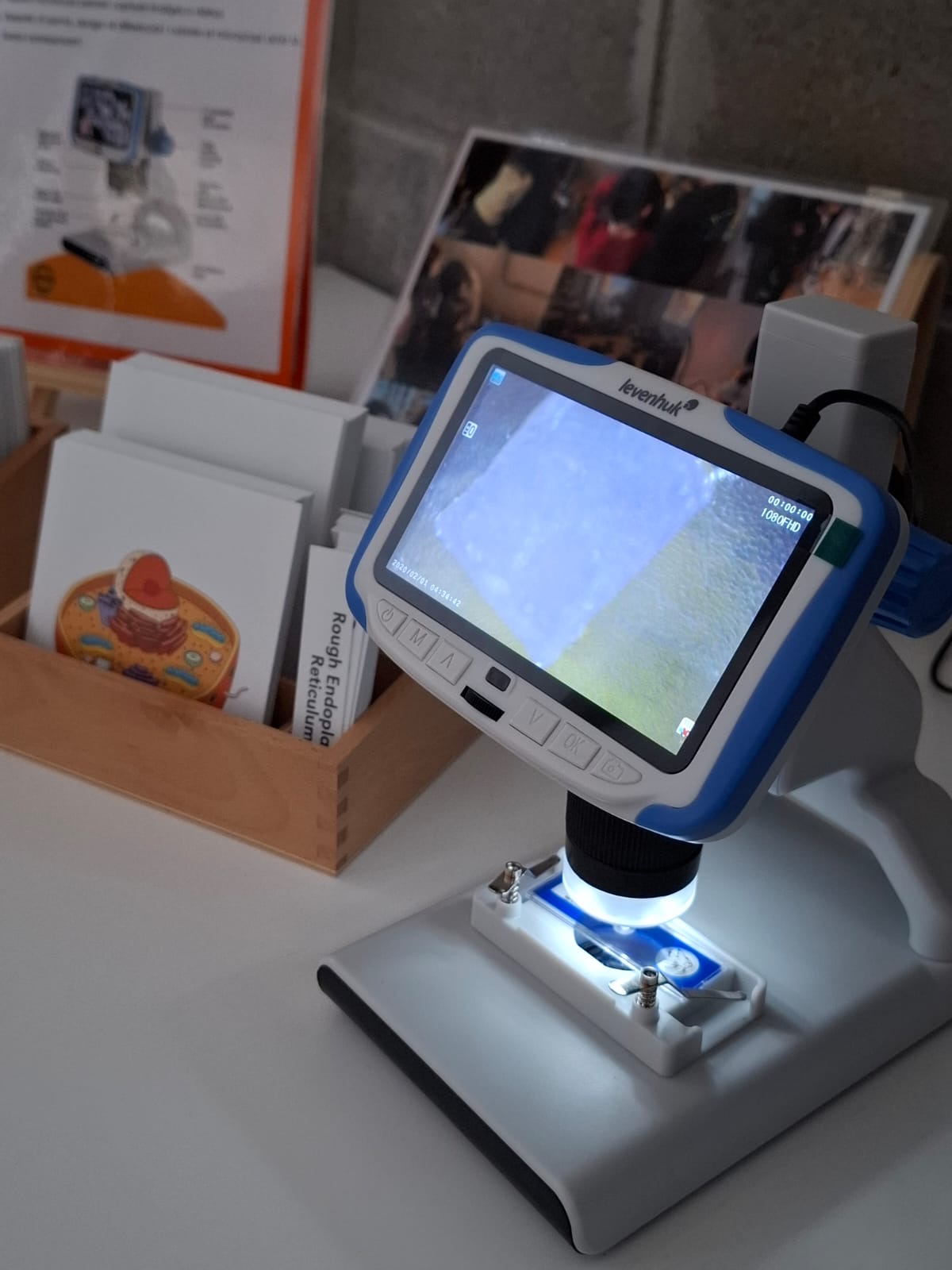 b918e640-72cd-42bd-adaa-caadc1269bce