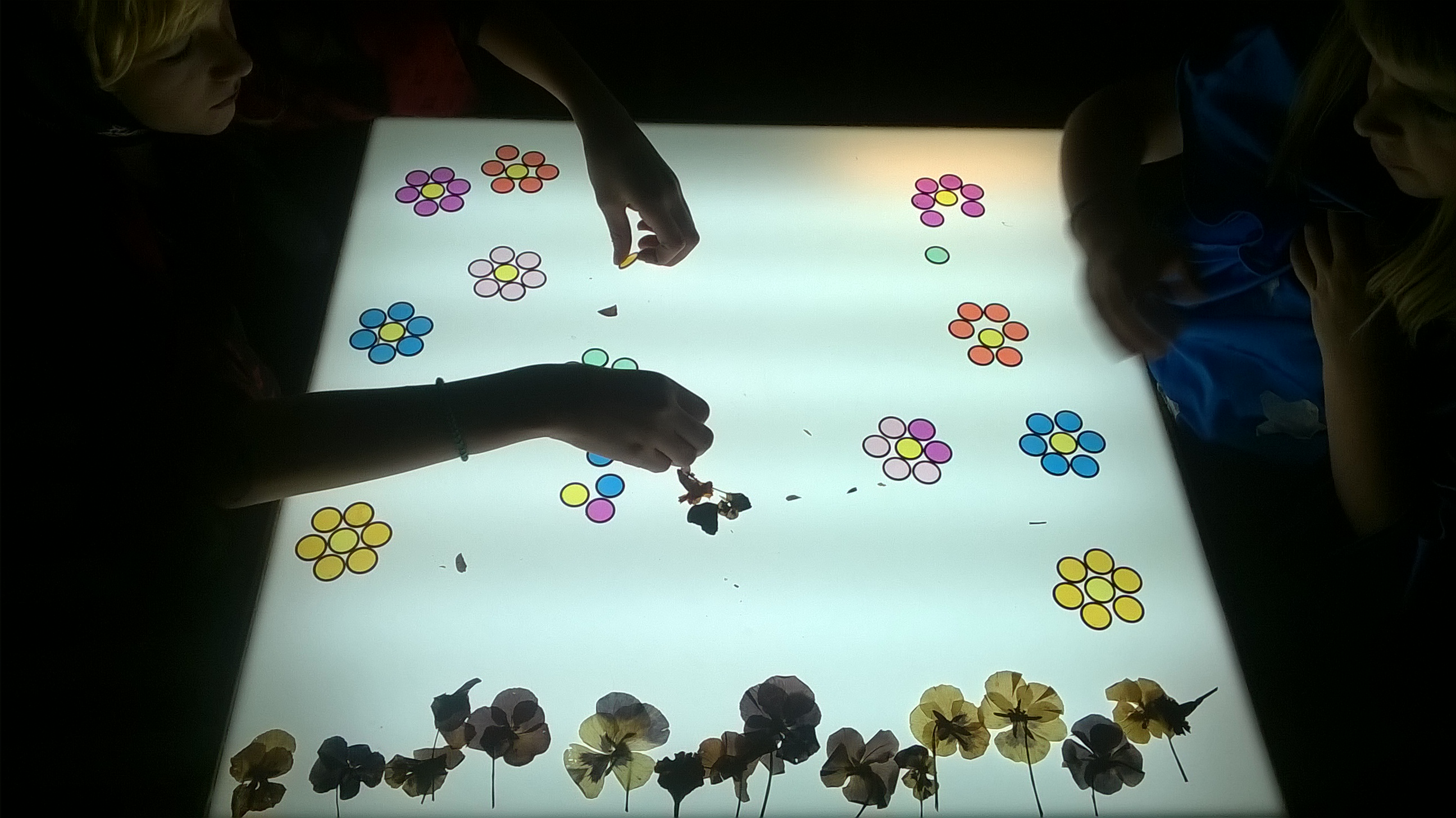 wp_20160916_16_34_06_pro