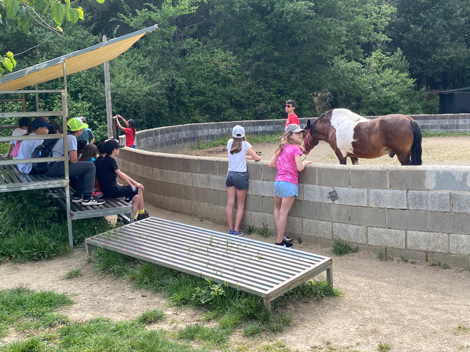 IMG-20220527-WA0023 (1)