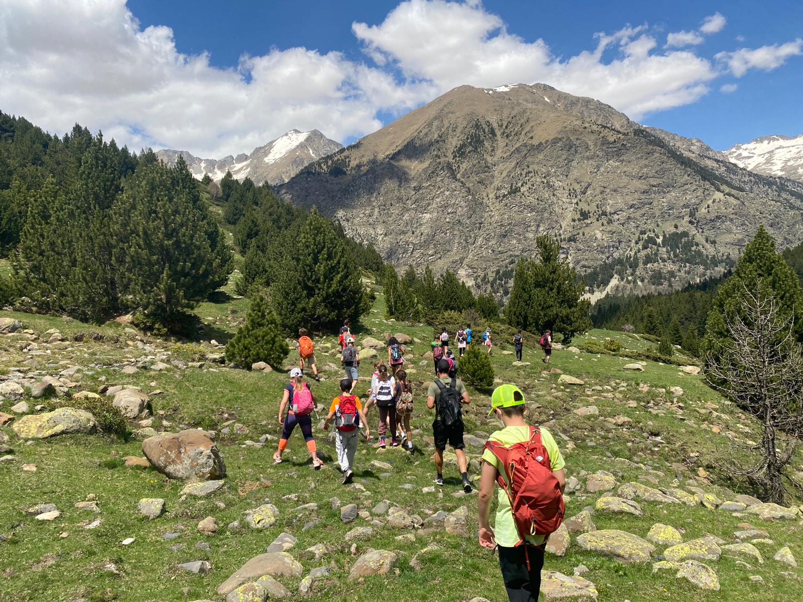 WhatsApp Image 2022-06-02 at 15.47.05 (1)