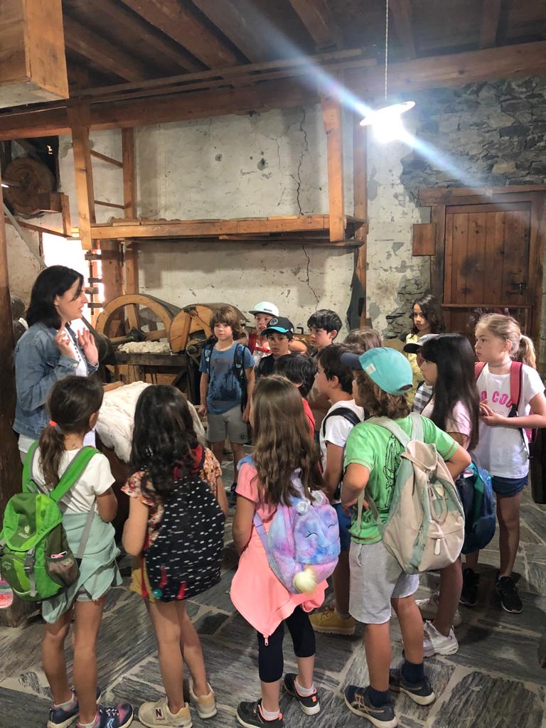 WhatsApp Image 2022-06-28 at 12.35.10 PM (3)