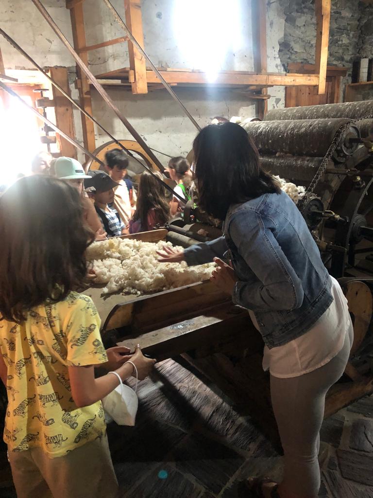 WhatsApp Image 2022-06-28 at 12.35.10 PM (5)