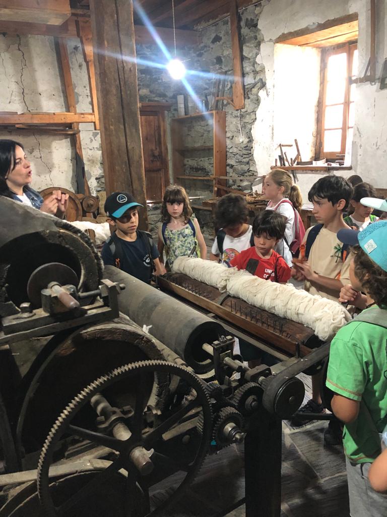 WhatsApp Image 2022-06-28 at 12.35.10 PM (7)