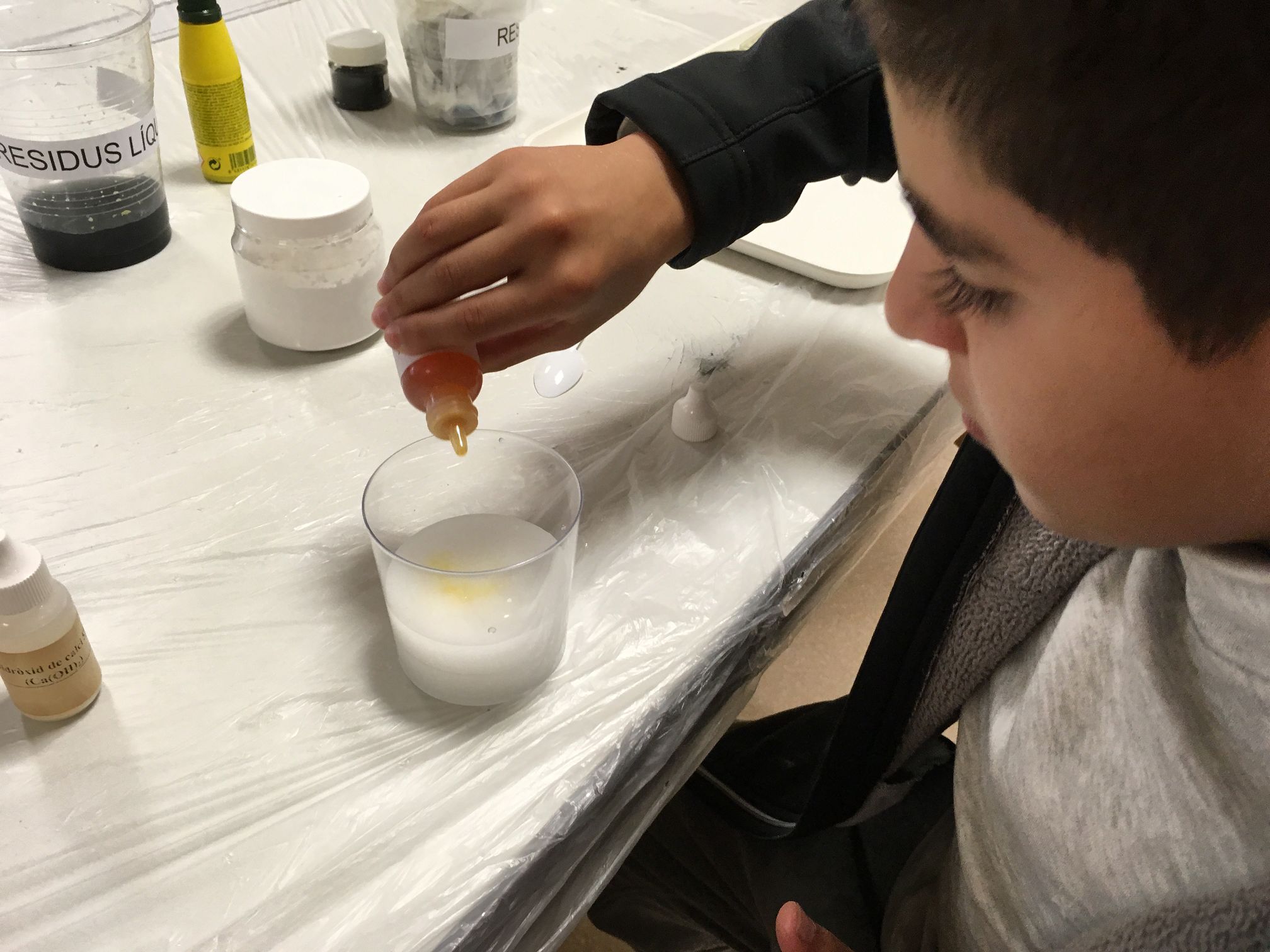 181114 Activitat Setmana de la Ciència URV 6è (13)