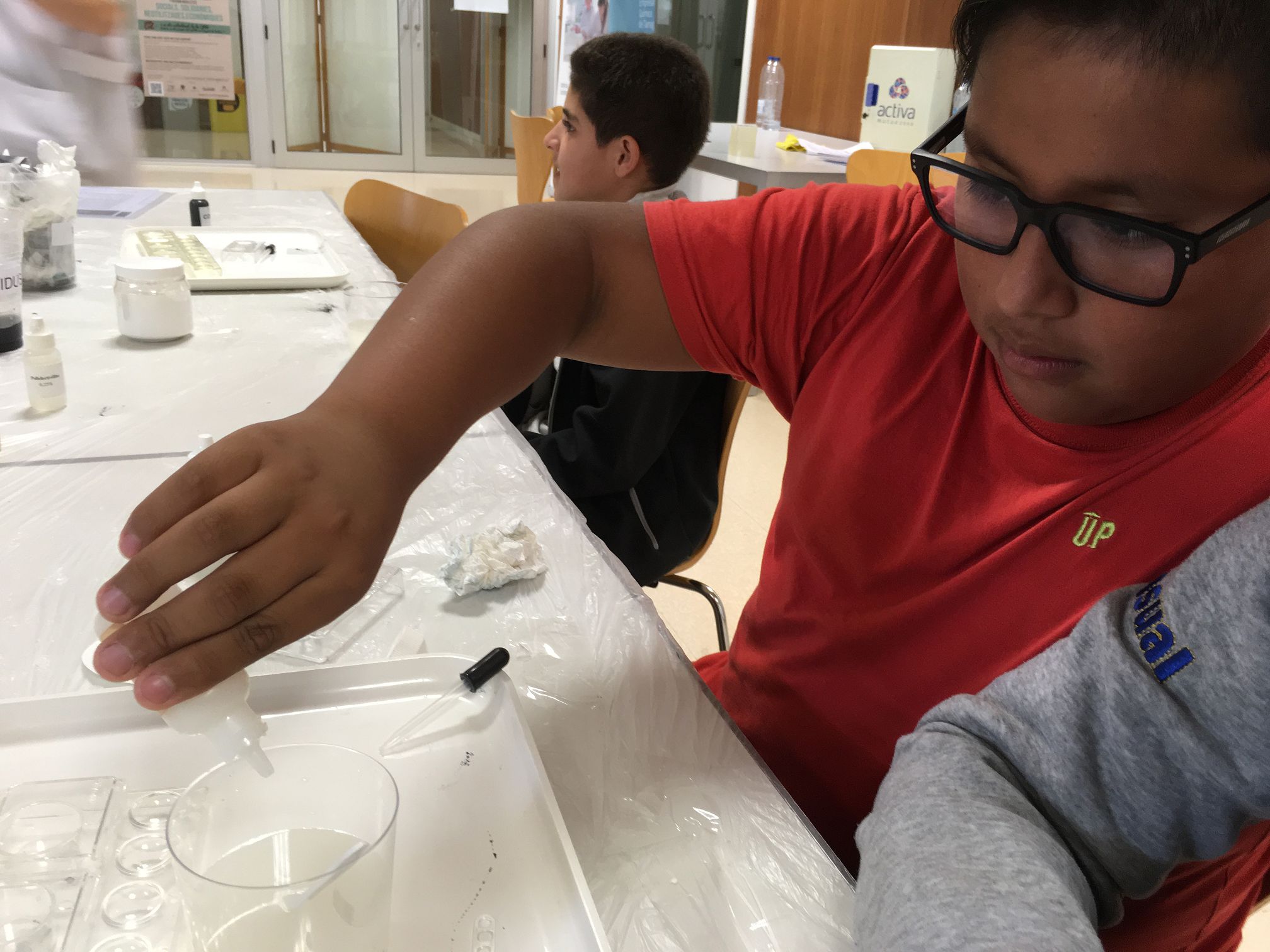 181114 Activitat Setmana de la Ciència URV 6è (15)