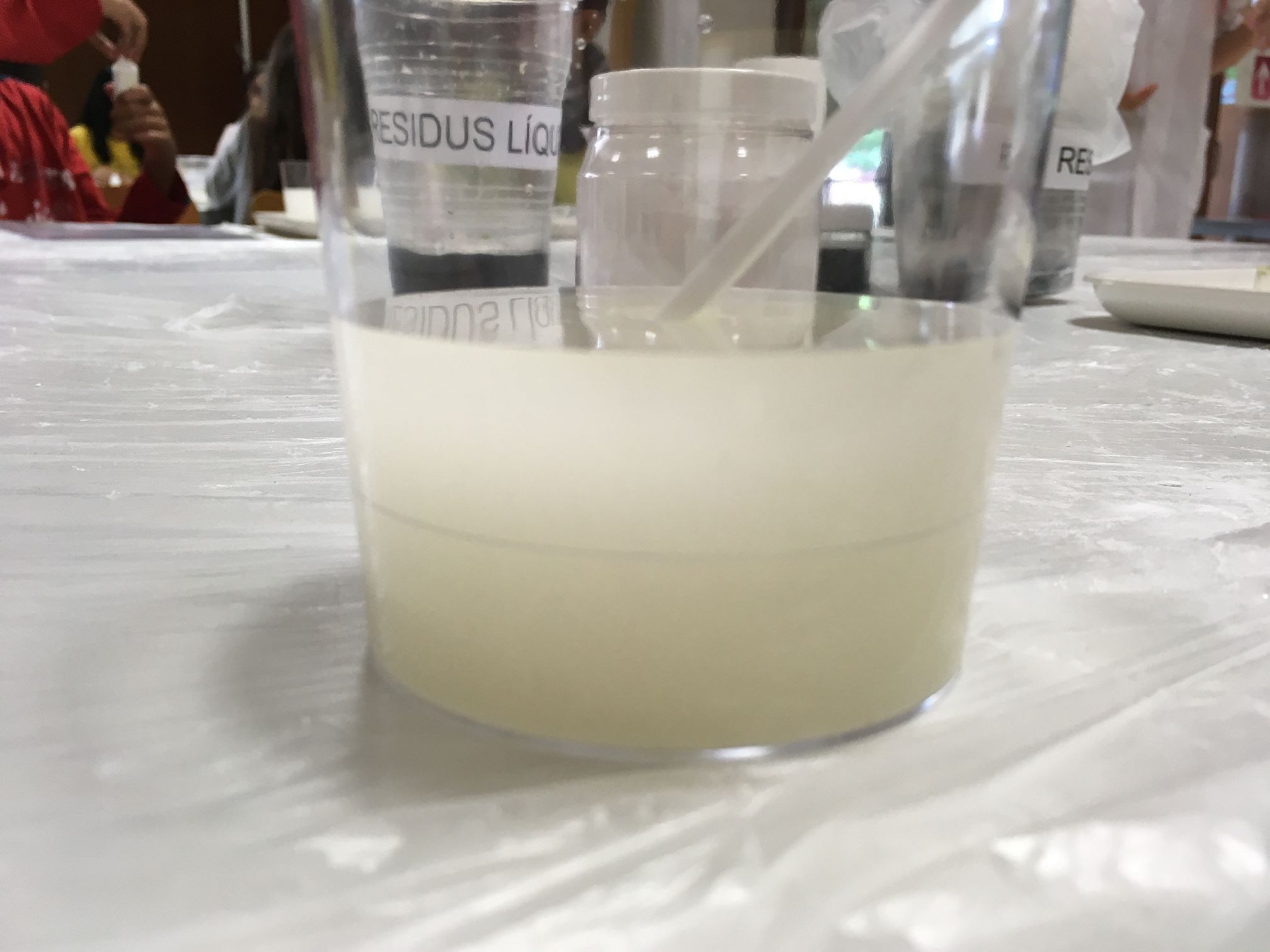 181114 Activitat Setmana de la Ciència URV 6è (16)