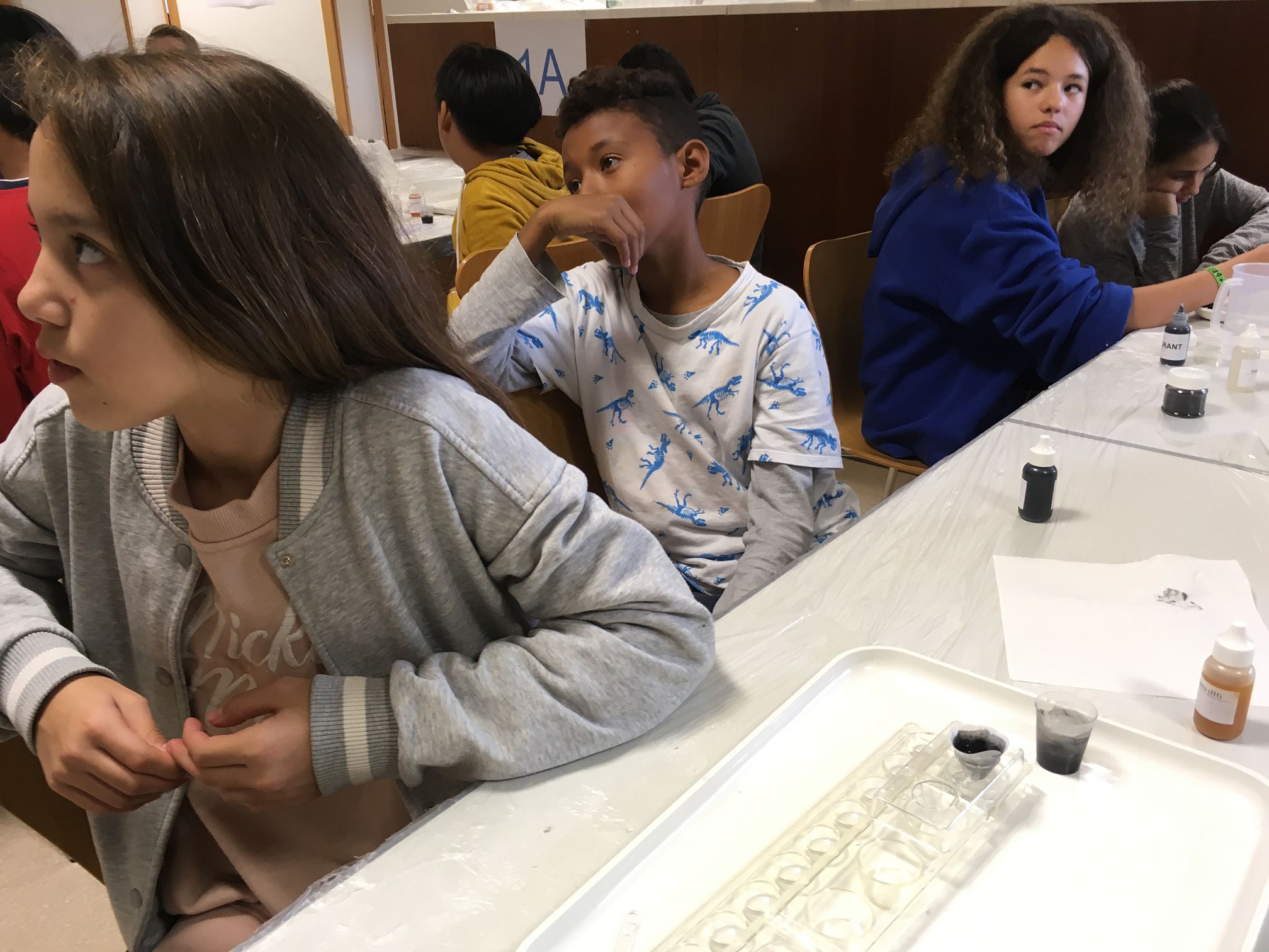 181114 Activitat Setmana de la Ciència URV 6è (17)