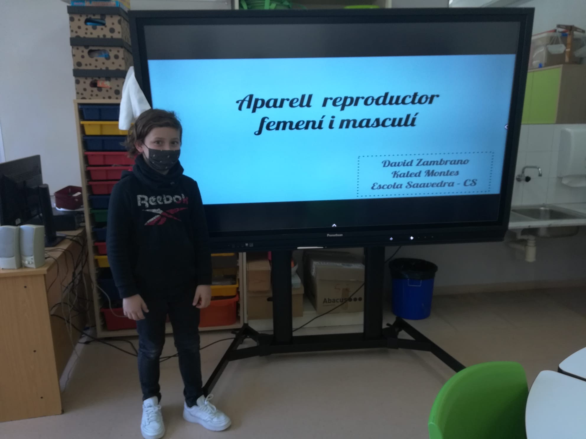 95e893ca-1a80-4165-818a-7c0b92a48bb1