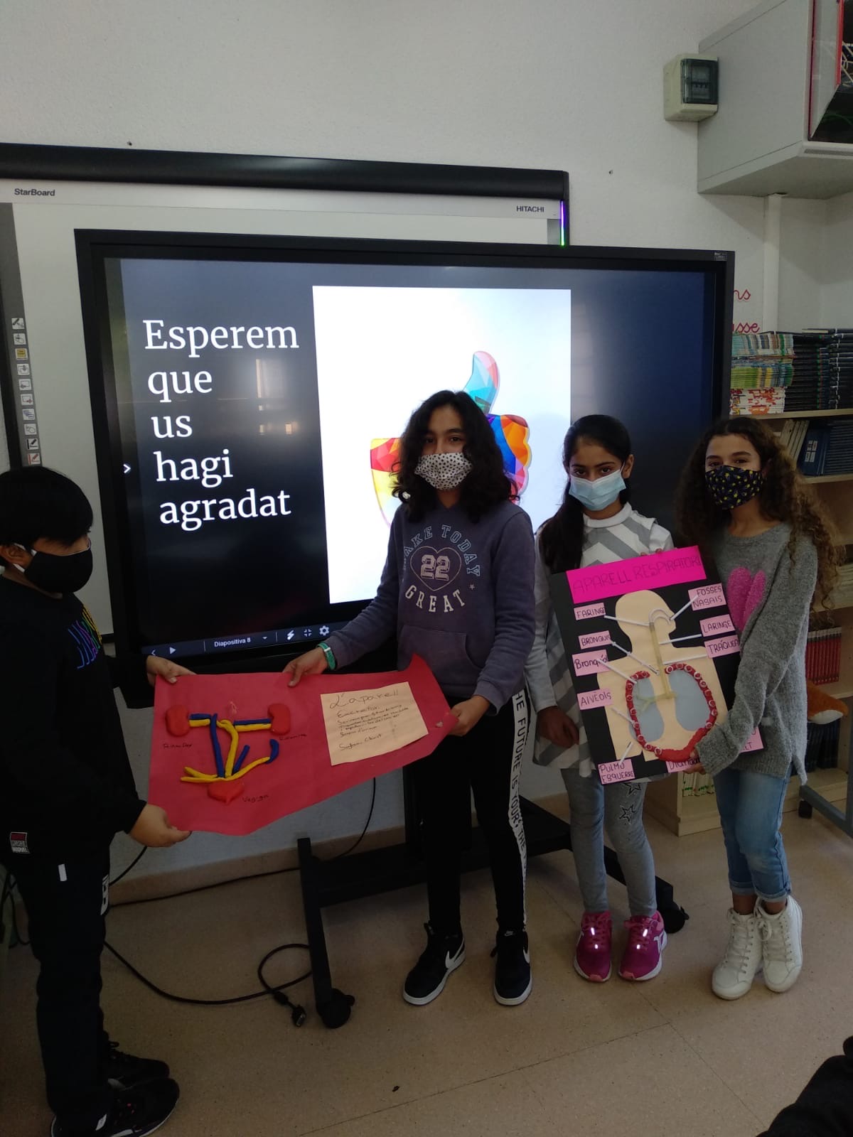 e8e0c727-ff82-4def-9490-f9b560e06437