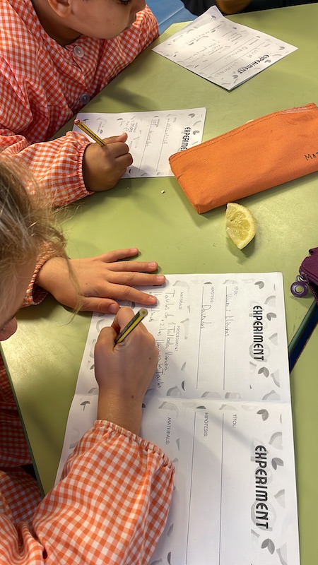 185329A3-A8A1-47AA-8B3D-2D947CBF7244