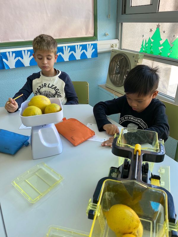 3a2fb027-282f-4a5c-937b-3aebf9239581