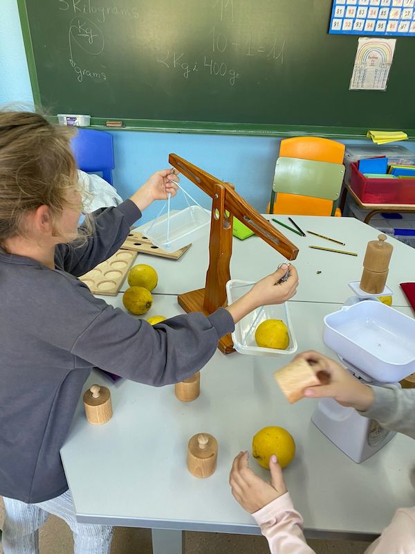 851ea36d-19ef-4815-802c-cb87a0780f84