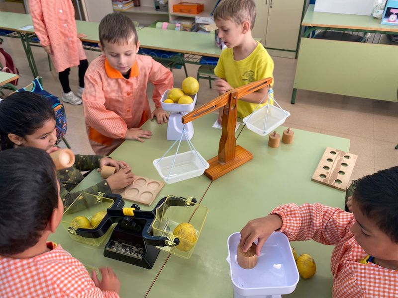 e81d1706-0472-4b5a-95af-0ac96e4c2e45