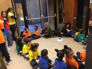 IMG-20230224-WA0028 Petita