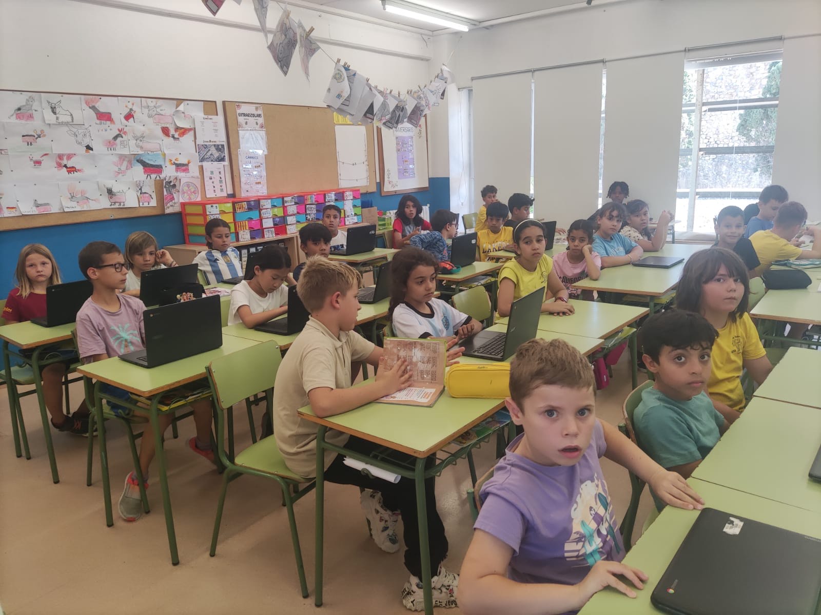 ed06c53d-2722-44b1-9278-367293d63aab