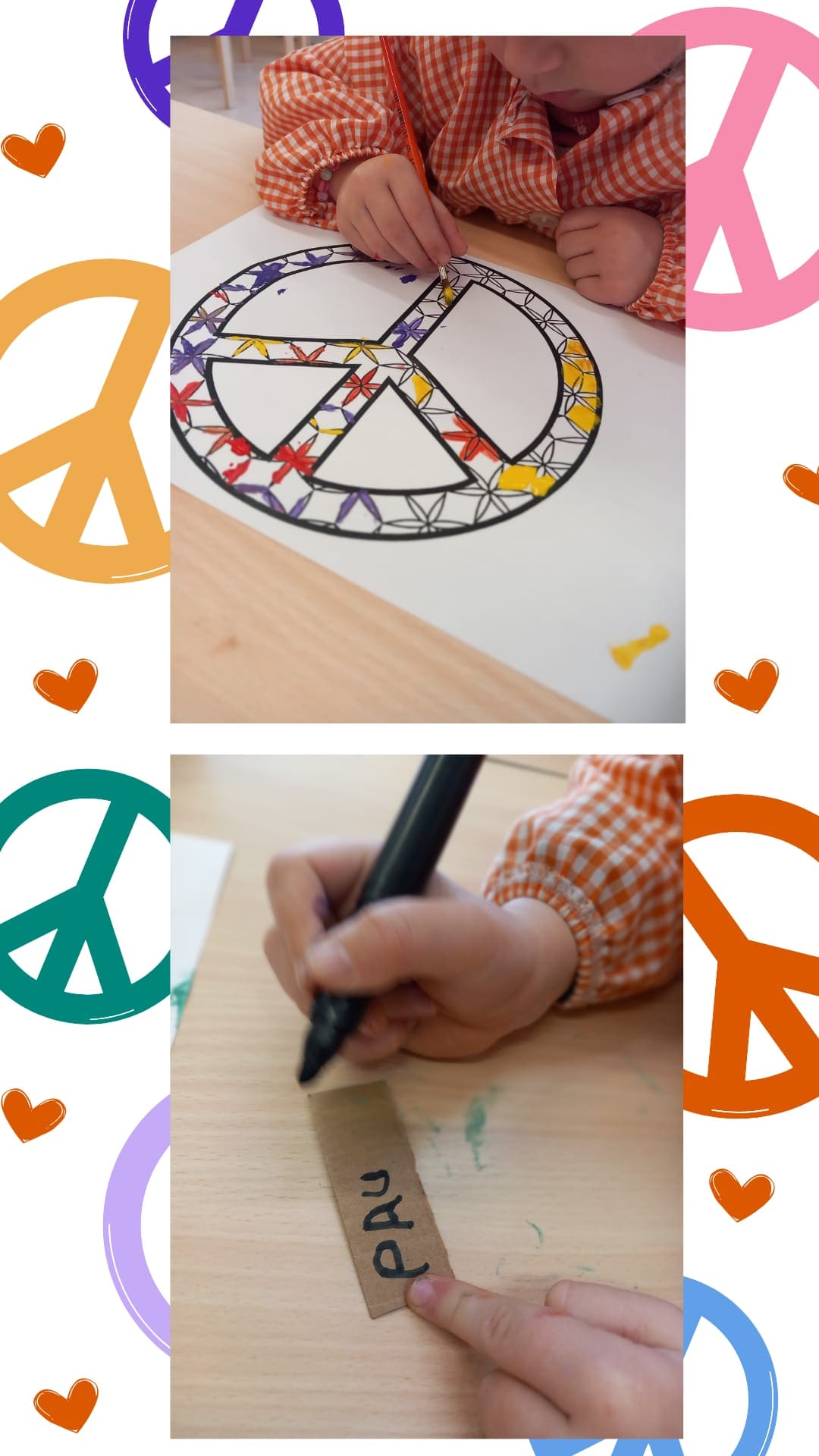 d2633064-946b-4ea2-8a12-a9f392d77659 - còpia