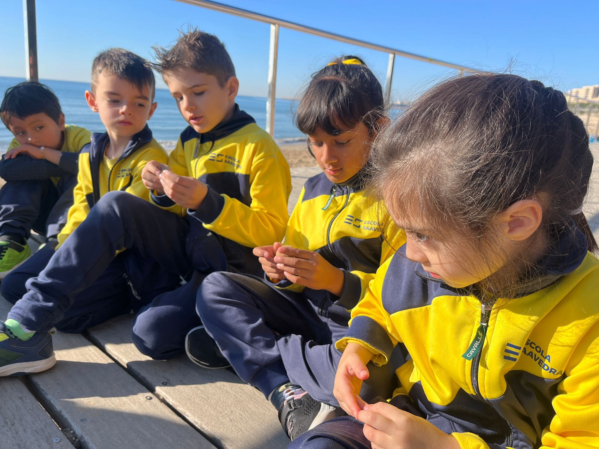 36bbf29a-2251-4ce9-a70b-a1d7c85e9bc8