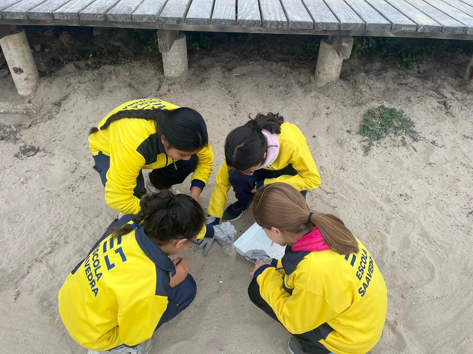 517022c4-9599-409e-b9cb-9ae19f37e077