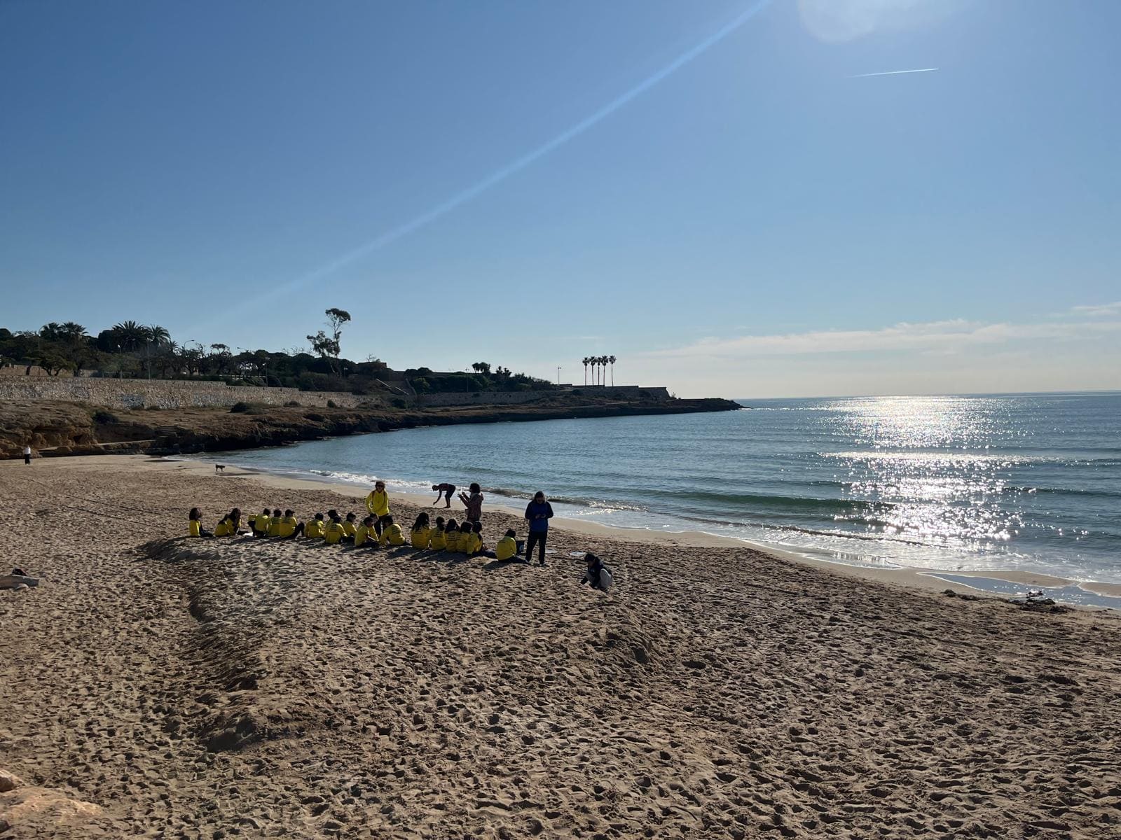 84187a9b-6762-451b-8487-13d3d762bd80