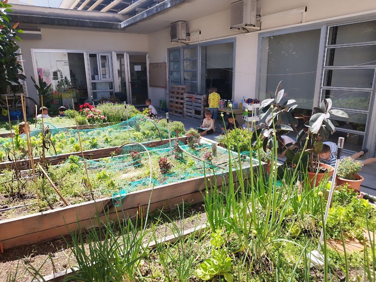 photo_5895270779505986538_y