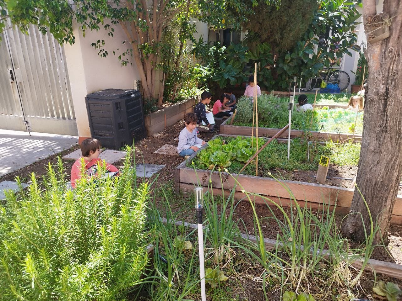 photo_5895270779505986539_y