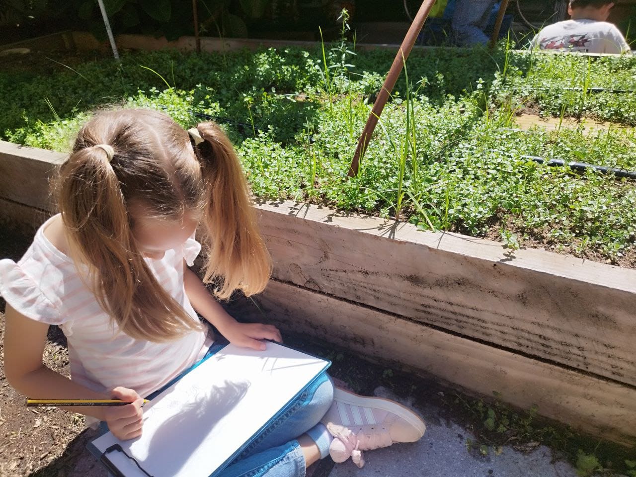 photo_5895270779505986540_y