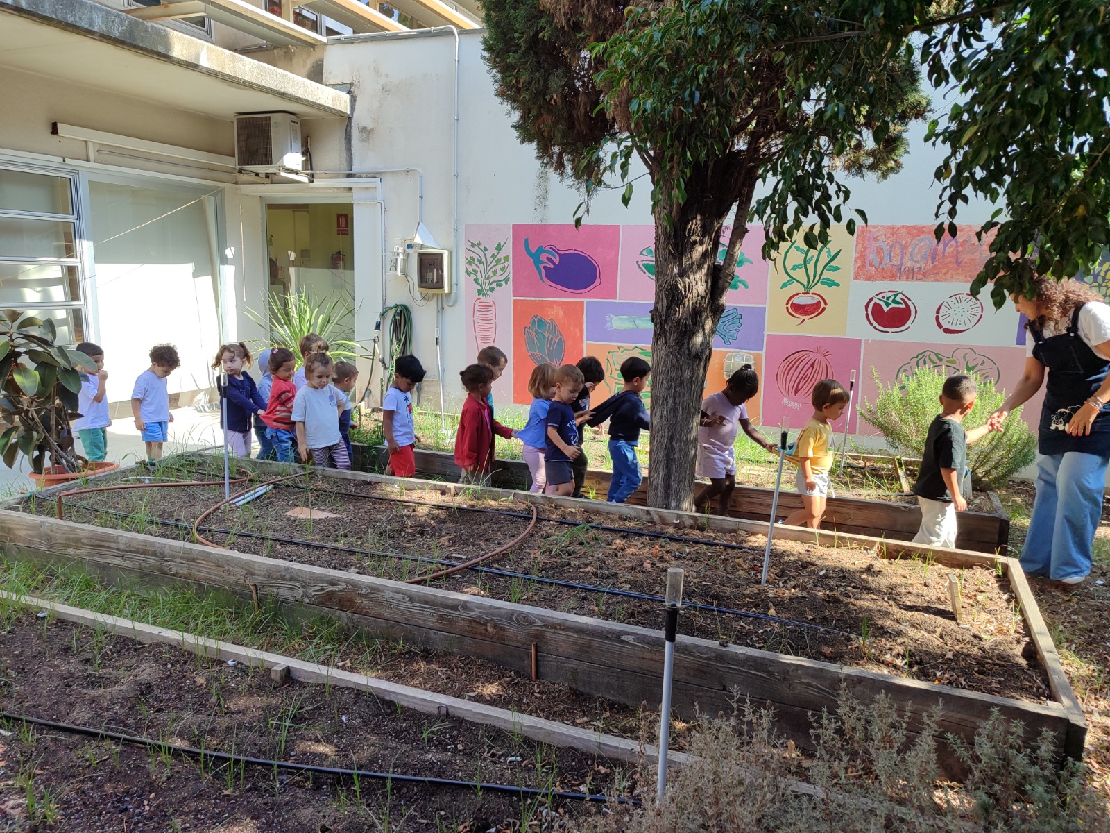 WhatsApp Image 2025-10-21 at 11.11.10 (1)