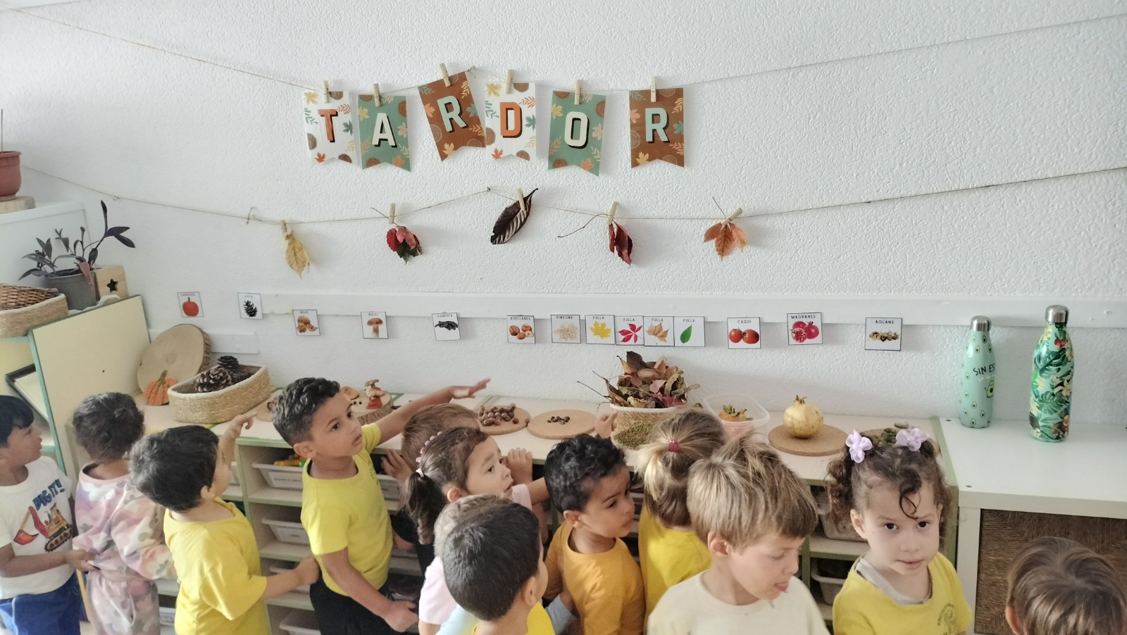 WhatsApp Image 2025-10-21 at 11.11.10 (3)