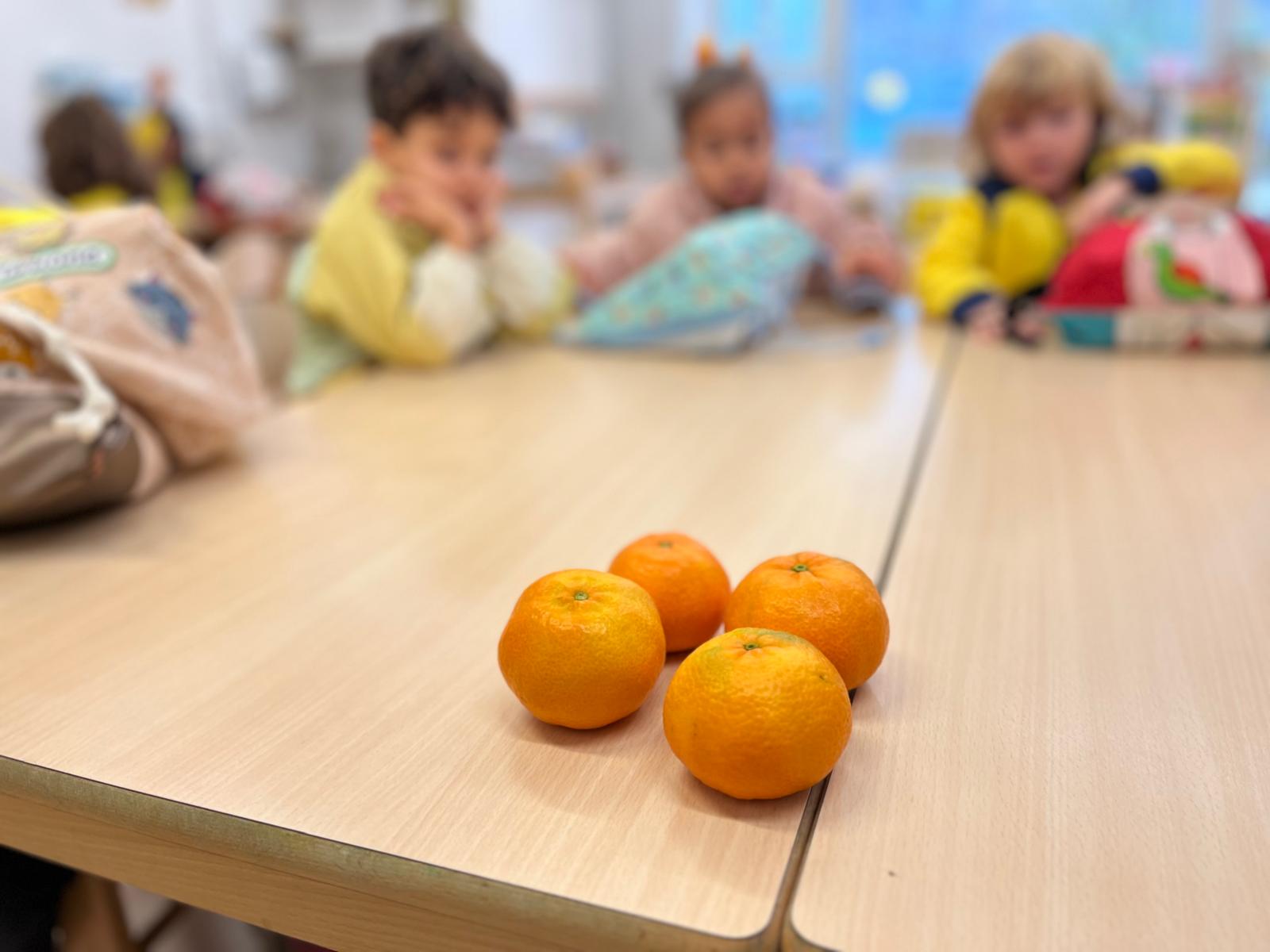 WhatsApp Image 2025-11-07 at 07.41.00