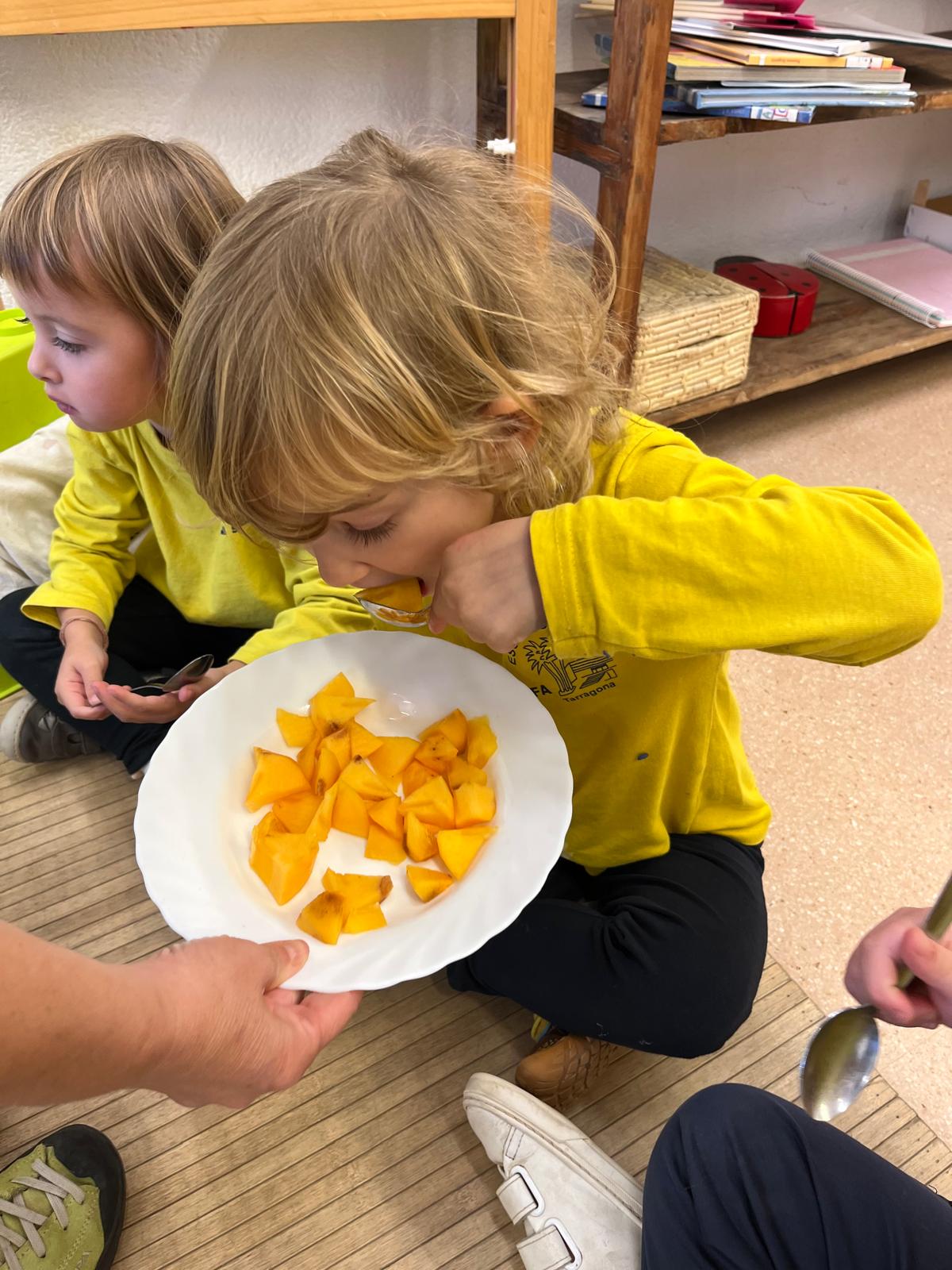 WhatsApp Image 2025-11-07 at 07.41.52