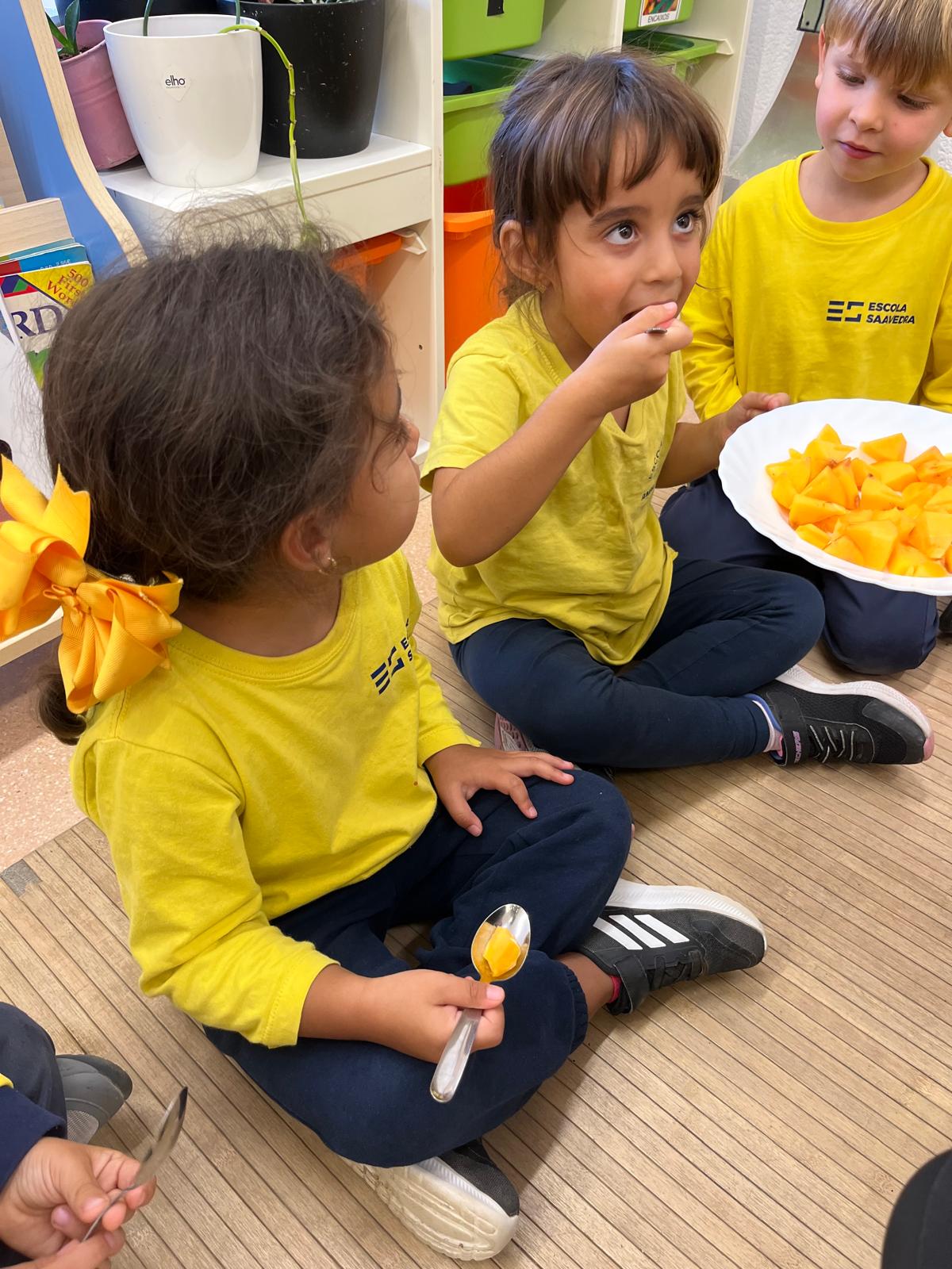 WhatsApp Image 2025-11-07 at 07.42.07