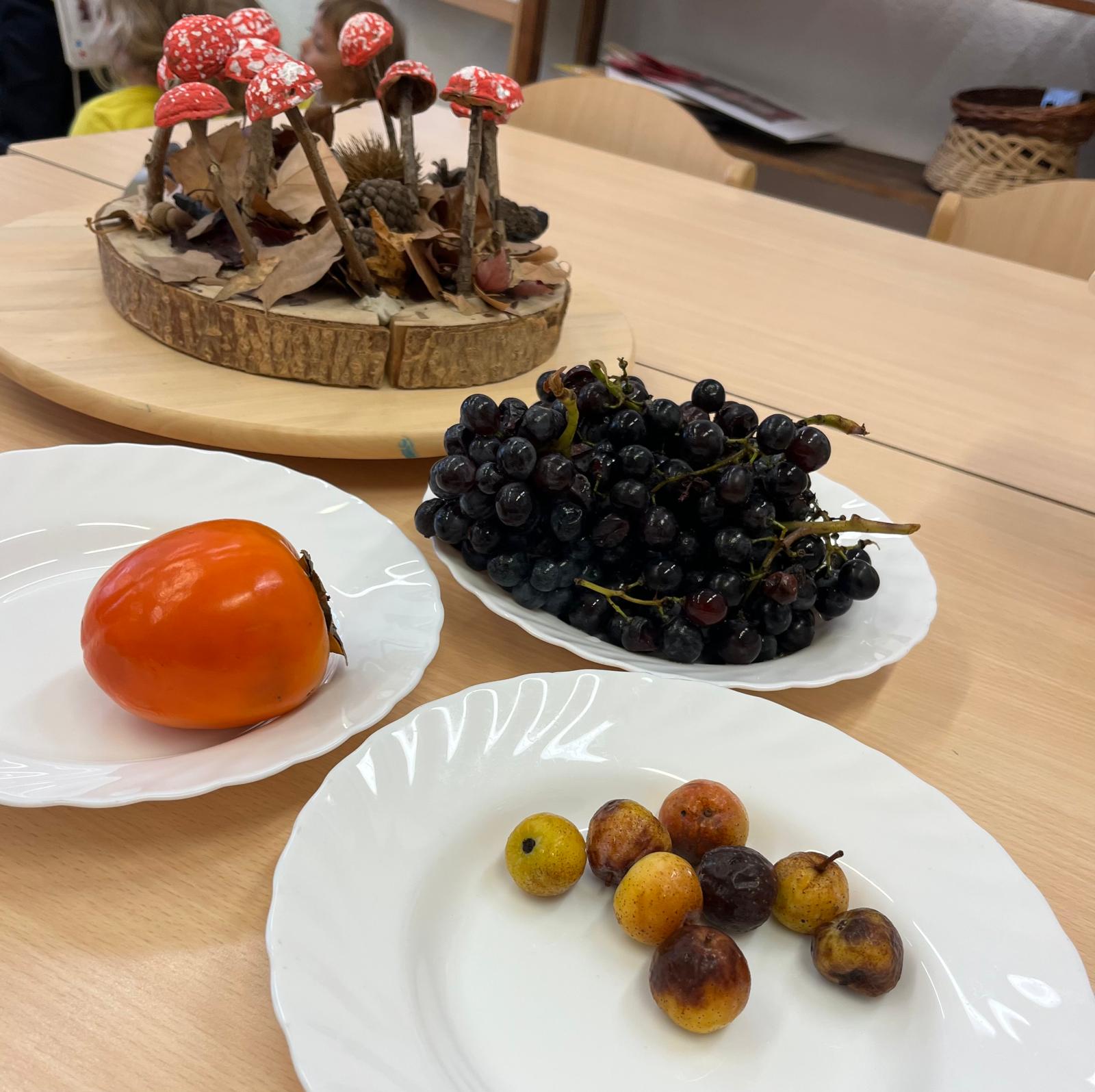 WhatsApp Image 2025-11-07 at 07.43.46