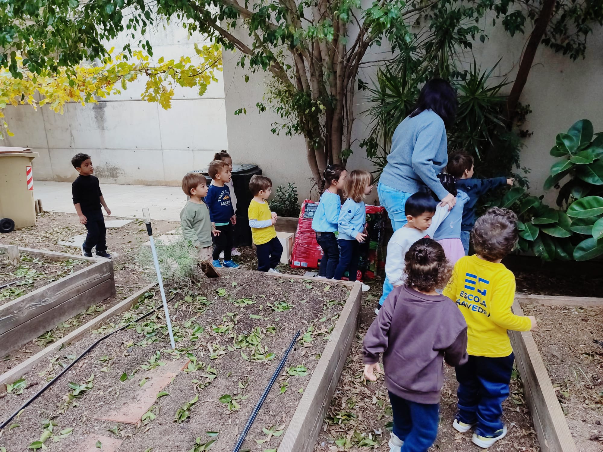 WhatsApp Image 2025-12-10 at 08.38.25