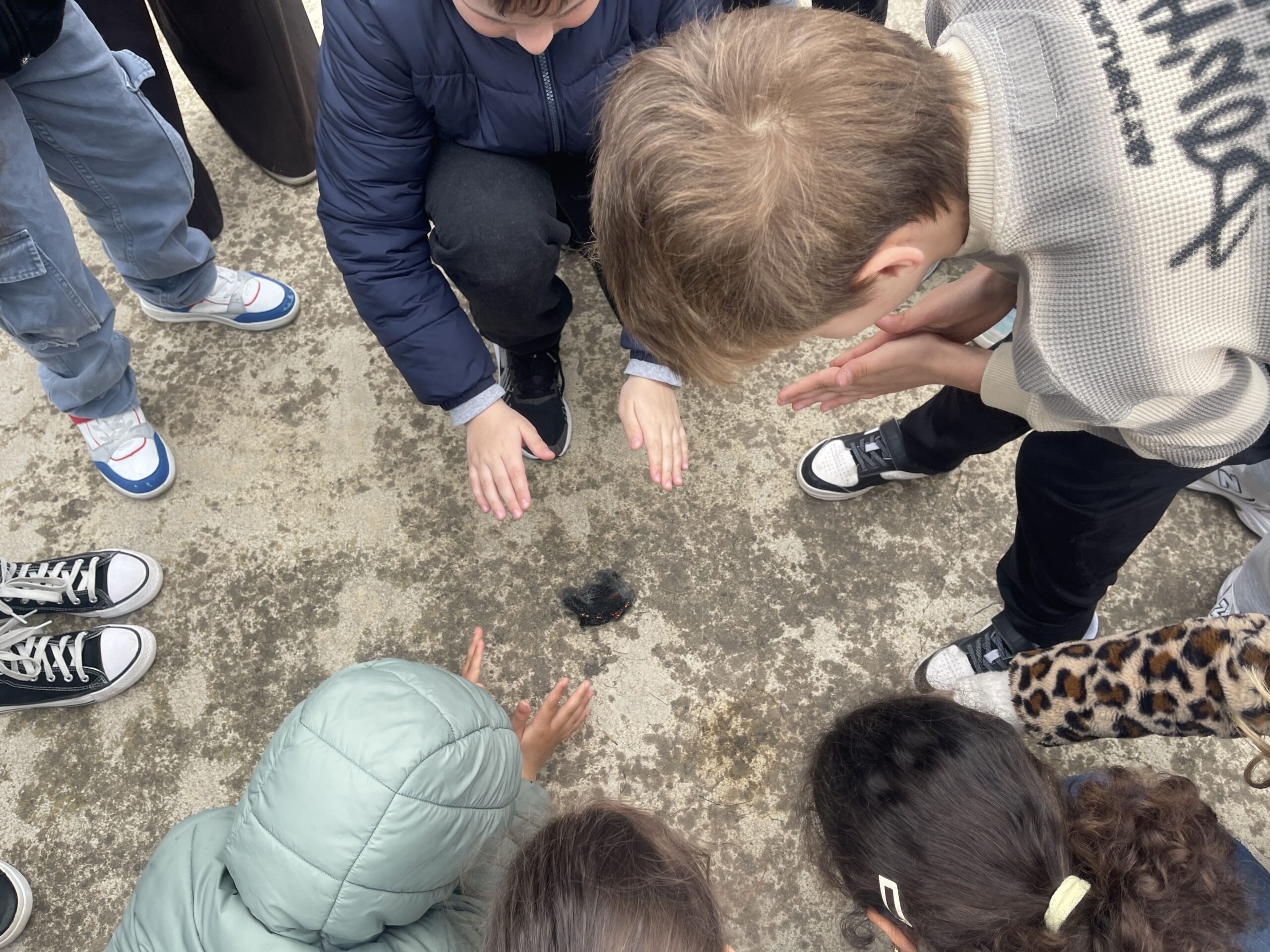 Còpia de IMG_7898 (1)