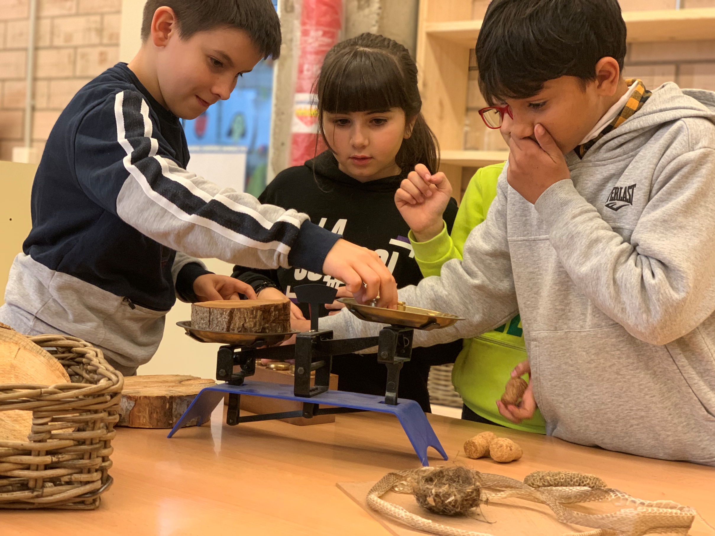 APRENEM_DESCOBRINT (4)