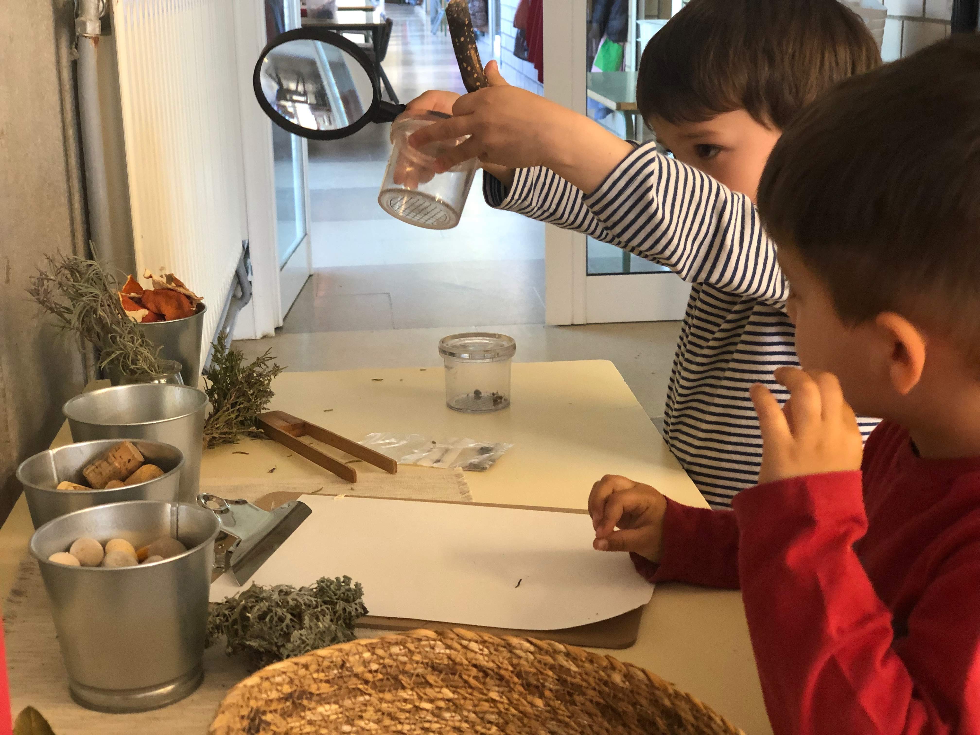 APRENEM_DESCOBRINT (6)