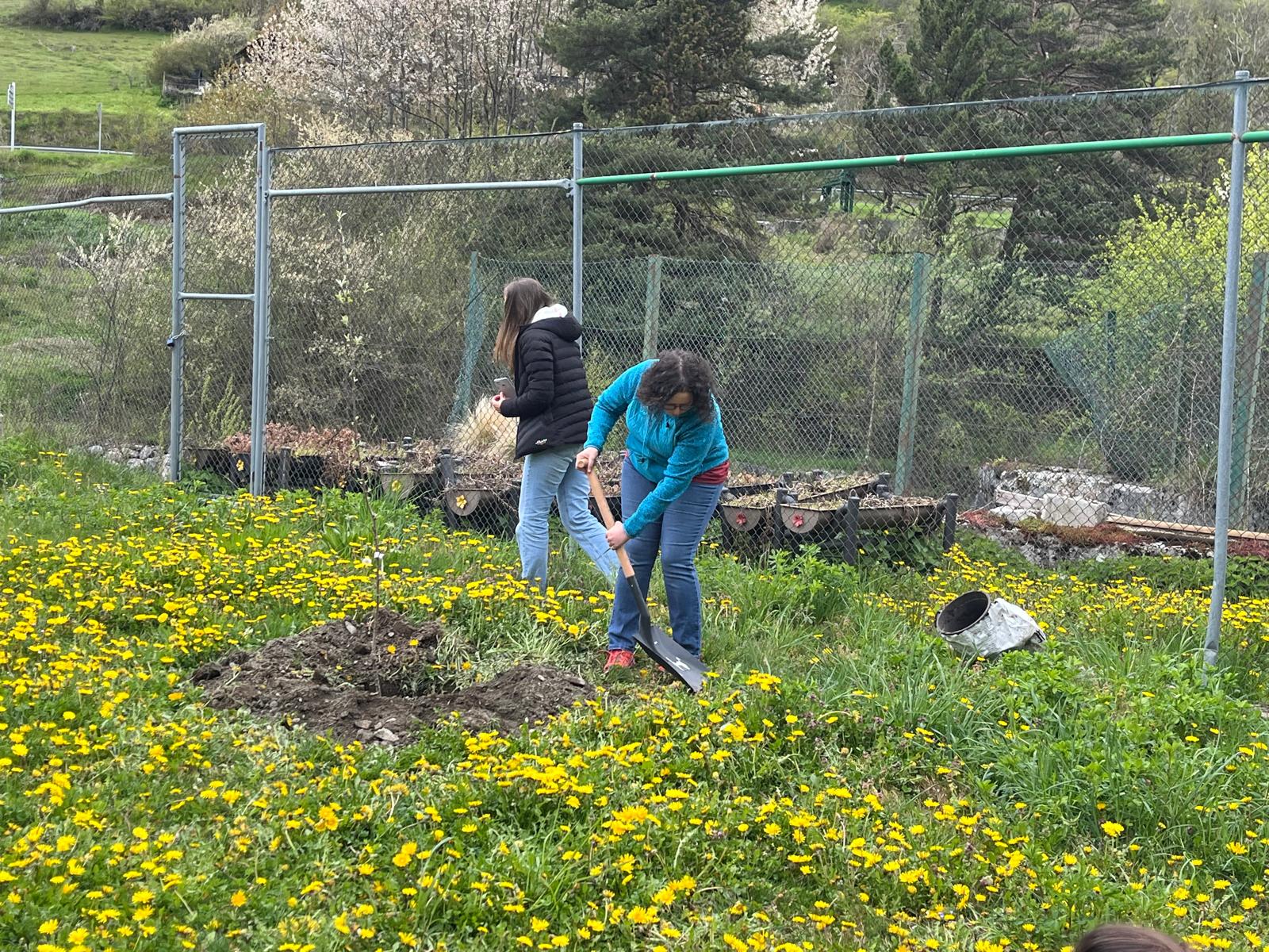 Imatge de WhatsApp 2025-04-22 a les 19.28.43_97d42bdb