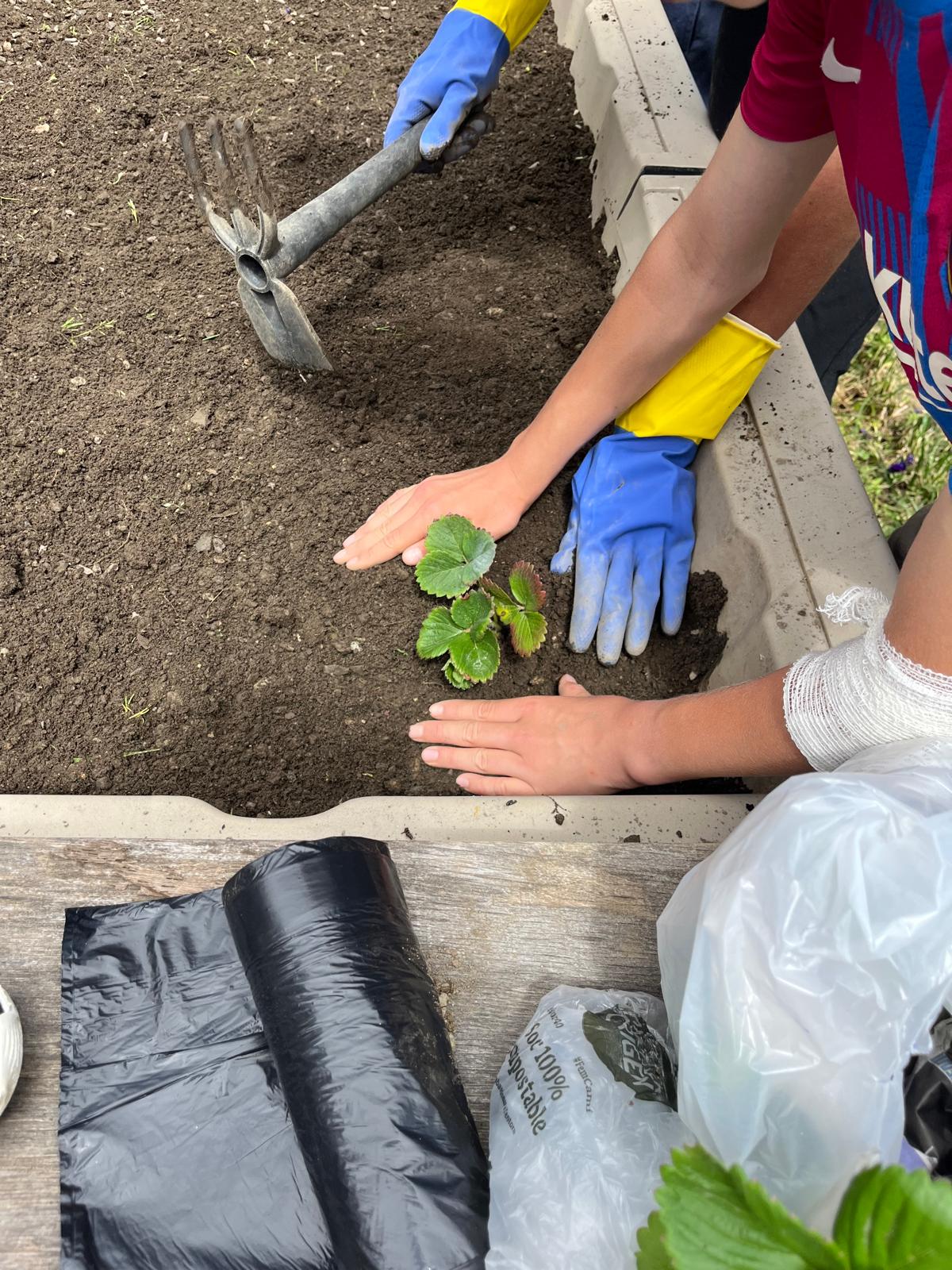 Imatge de WhatsApp 2025-06-03 a les 20.15.16_249729f6