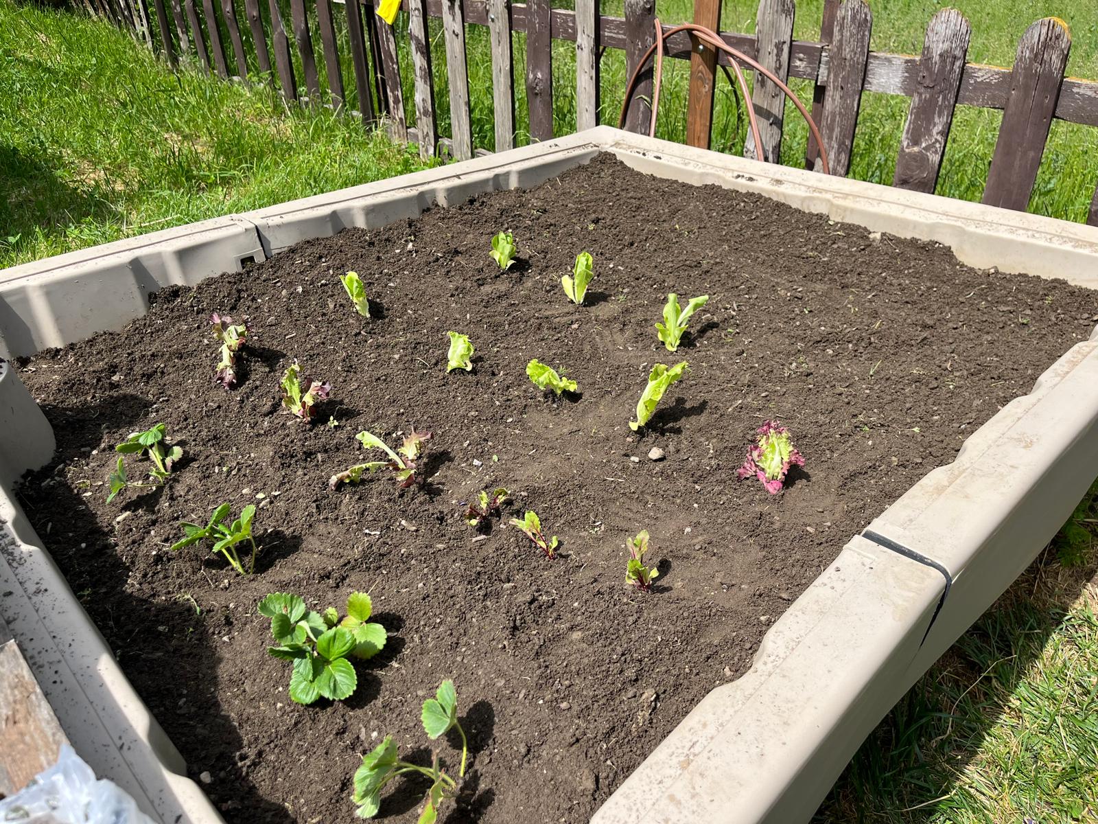 Imatge de WhatsApp 2025-06-03 a les 20.15.16_cf38f891