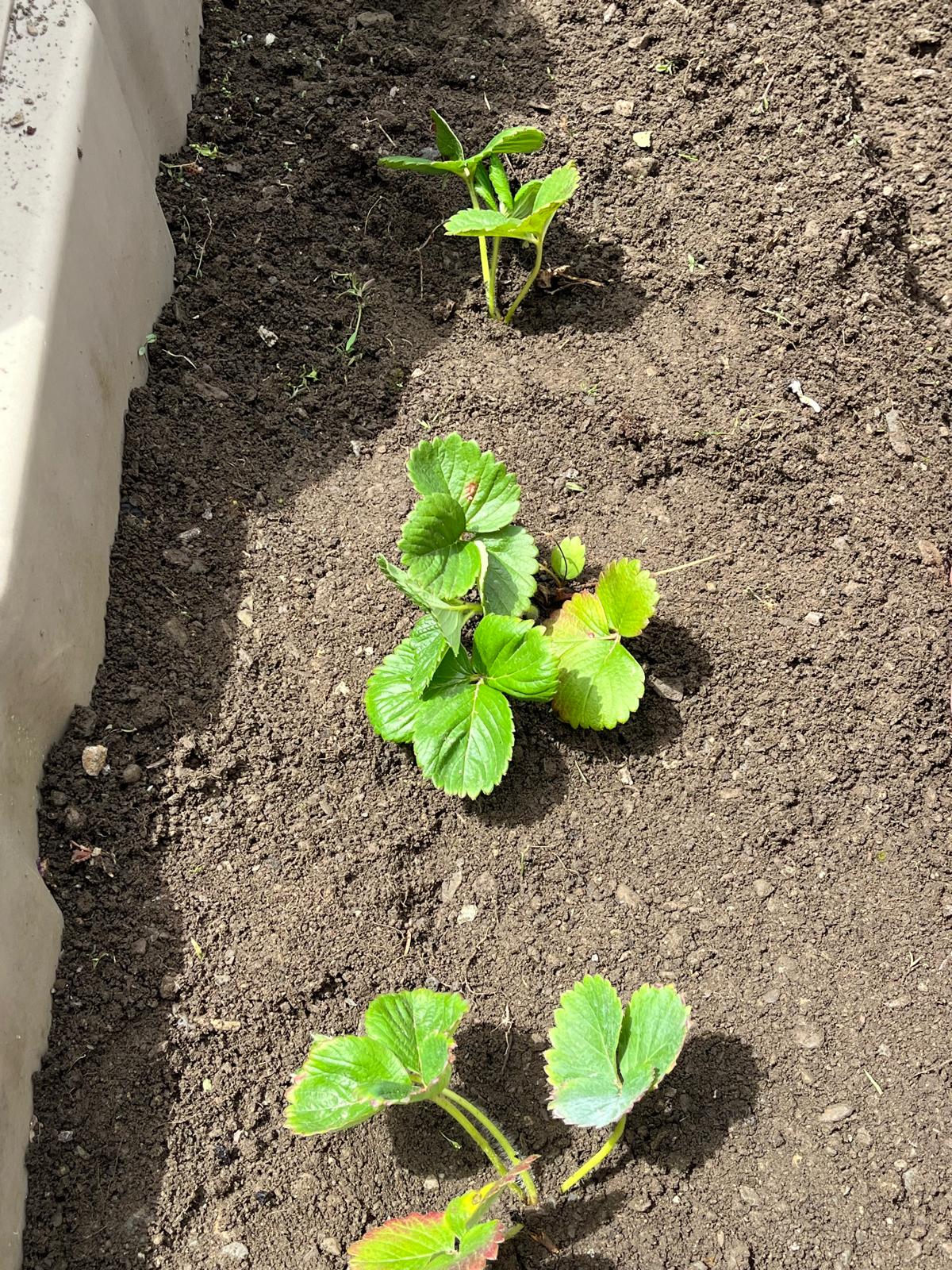 Imatge de WhatsApp 2025-06-03 a les 20.15.16_fdfb5b02