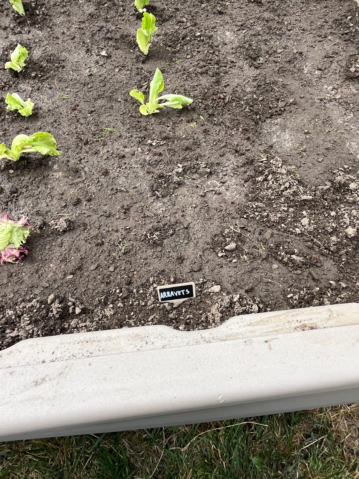 Imatge de WhatsApp 2025-06-03 a les 20.15.17_0726f89a